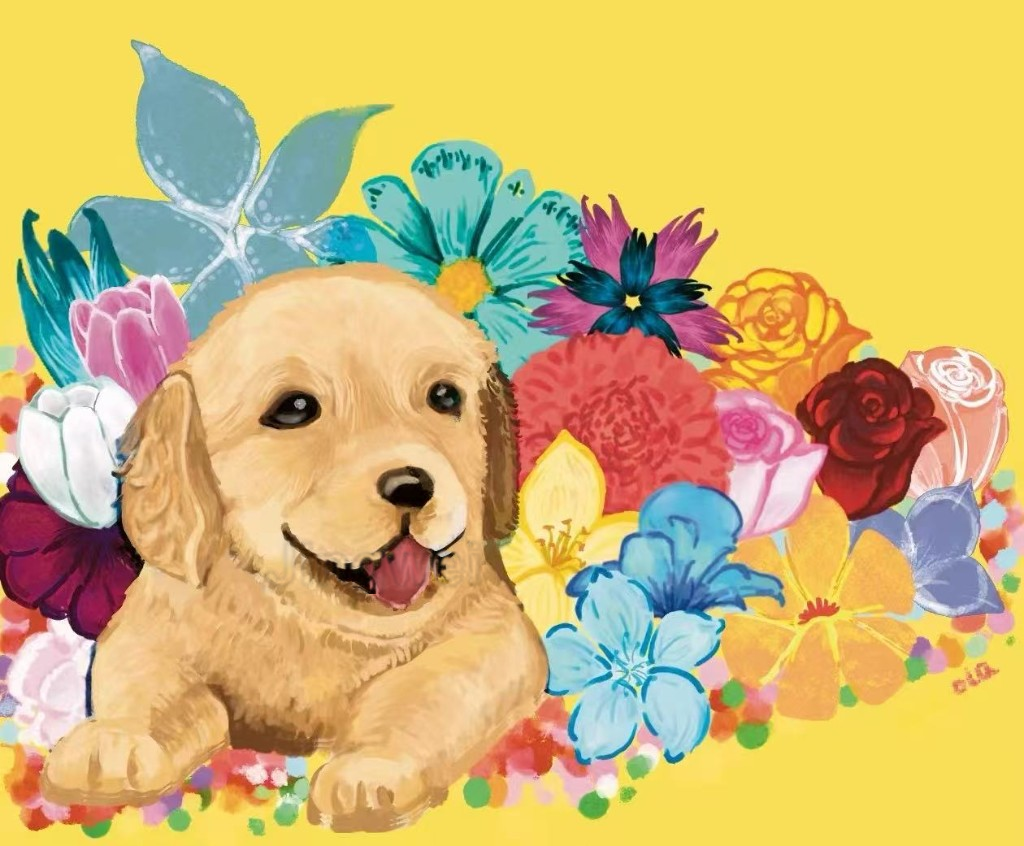 Puppy after Quick Credit displacement